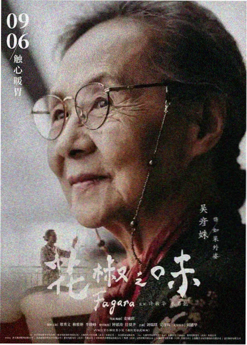 七哥电影网儿童安全教育红绿灯小课堂